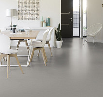 Colorette 0058 Aluminium Grey фото 2 | FLOORDEALER